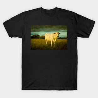 Bullock#2 T-Shirt